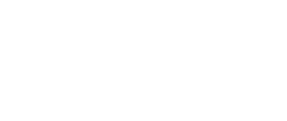 Sonic Advisory Logo